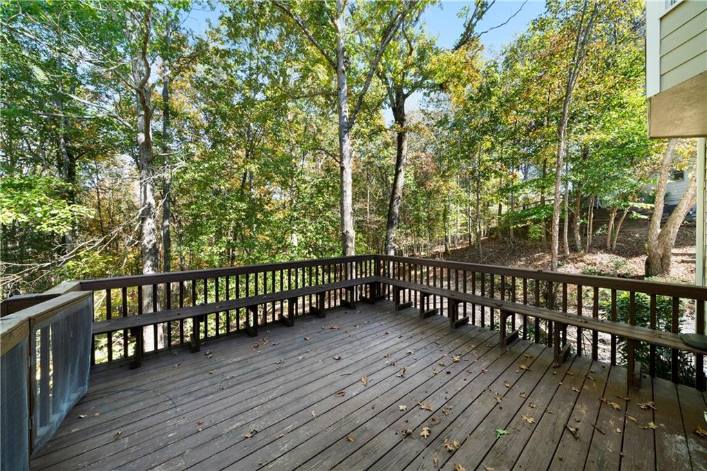 313 Blue Ridge Trace Property Photo 42