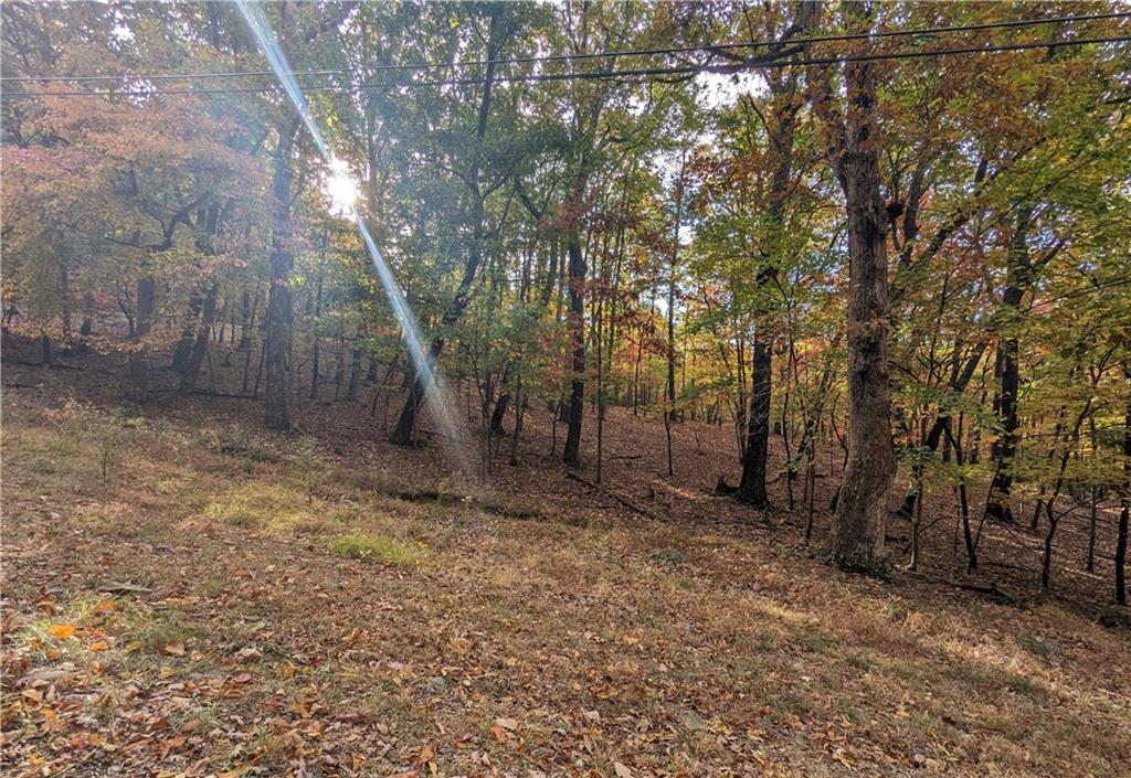 0 Oglethorpe Mountain Road Property Photo 1