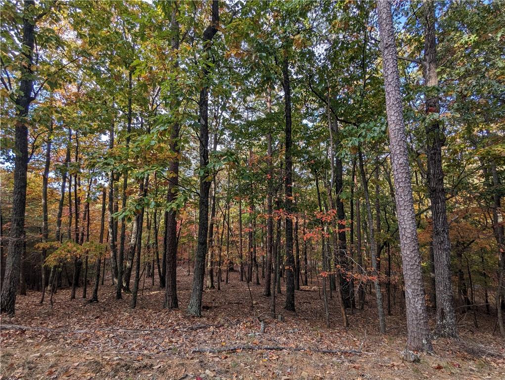 0 Oglethorpe Mountain Road Property Photo 2