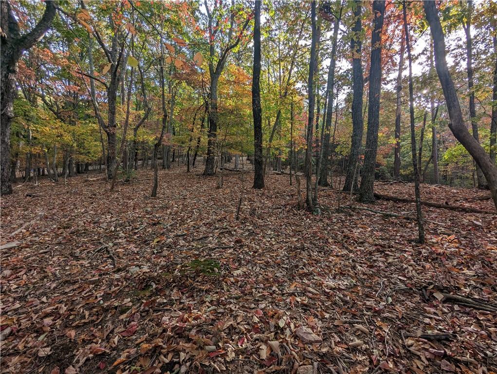 0 Oglethorpe Mountain Road Property Photo 3