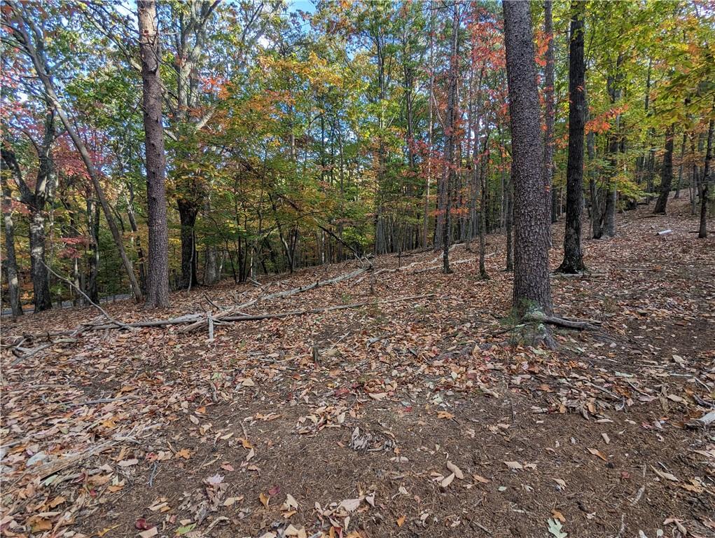 0 Oglethorpe Mountain Road Property Photo 4