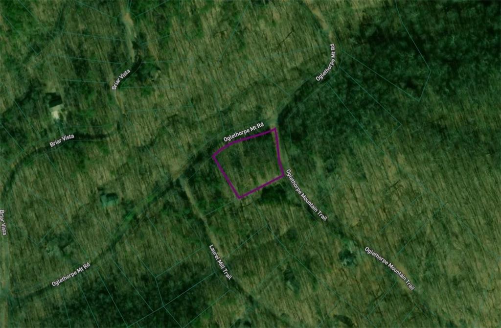 0 Oglethorpe Mountain Road Property Photo 5