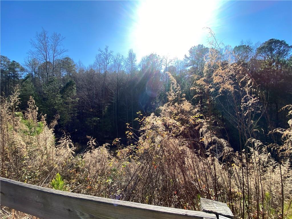 405 Trumpet Circle Property Photo 2
