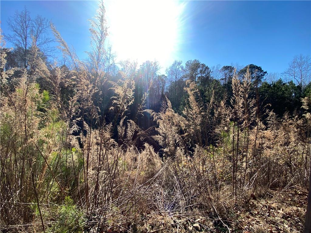 405 Trumpet Circle Property Photo 3