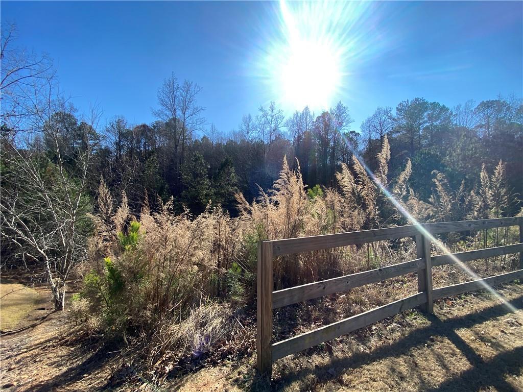 405 Trumpet Circle Property Photo 10