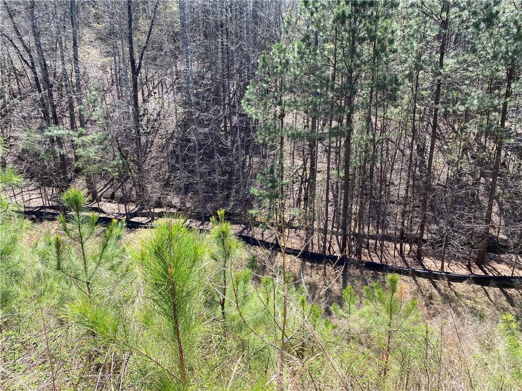 405 Trumpet Circle Property Photo 13