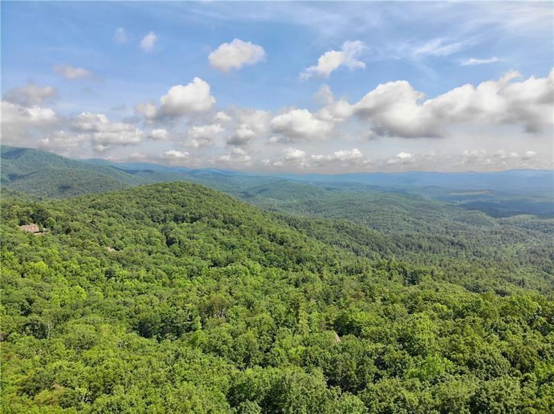3023 Wild Turkey Bluff