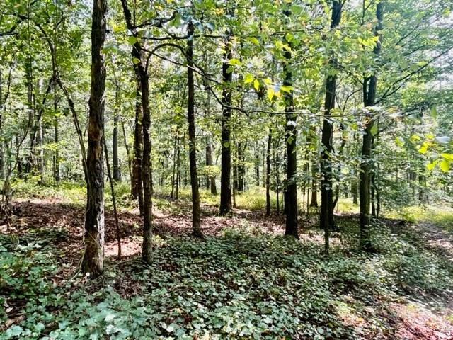 3012 Mount Pisgah Road Property Photo 1