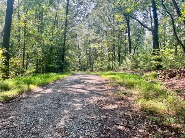 3012 Mount Pisgah Road Property Photo 2