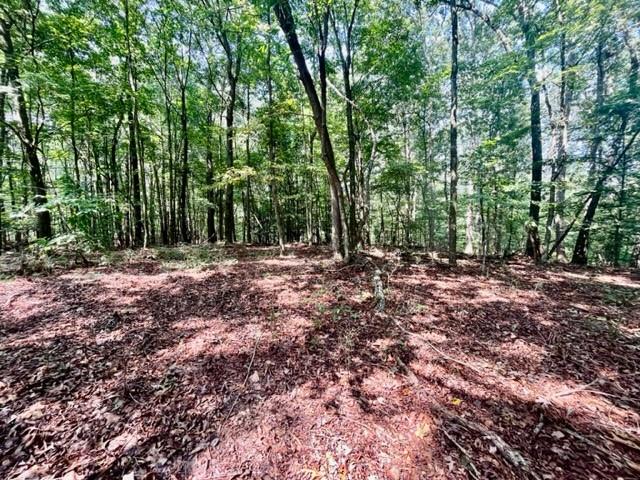 3012 Mount Pisgah Road Property Photo 3