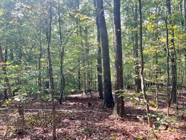 3012 Mount Pisgah Road Property Photo 4