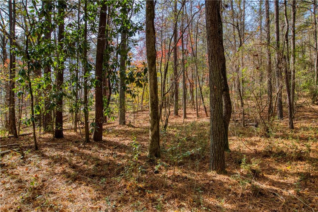 9370 Coleman Road Property Photo 53