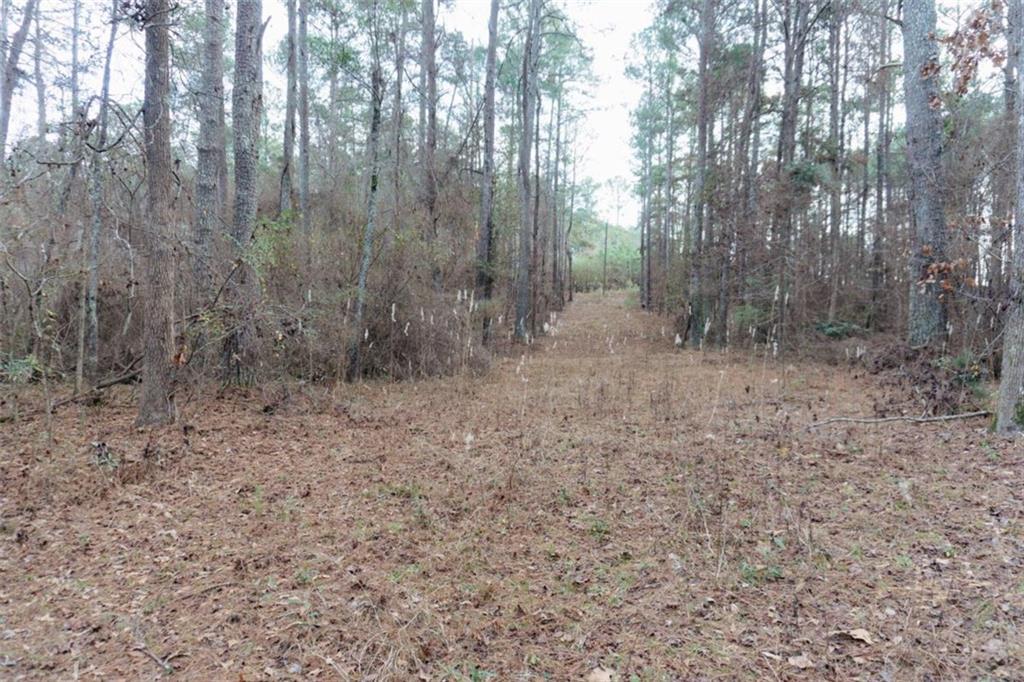 0 Butterfly Lane Property Photo 9