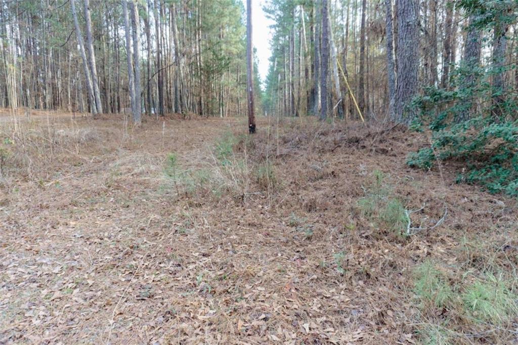 0 Butterfly Lane Property Photo 10