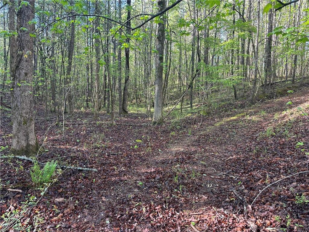 0 Kirk Road Property Photo 4