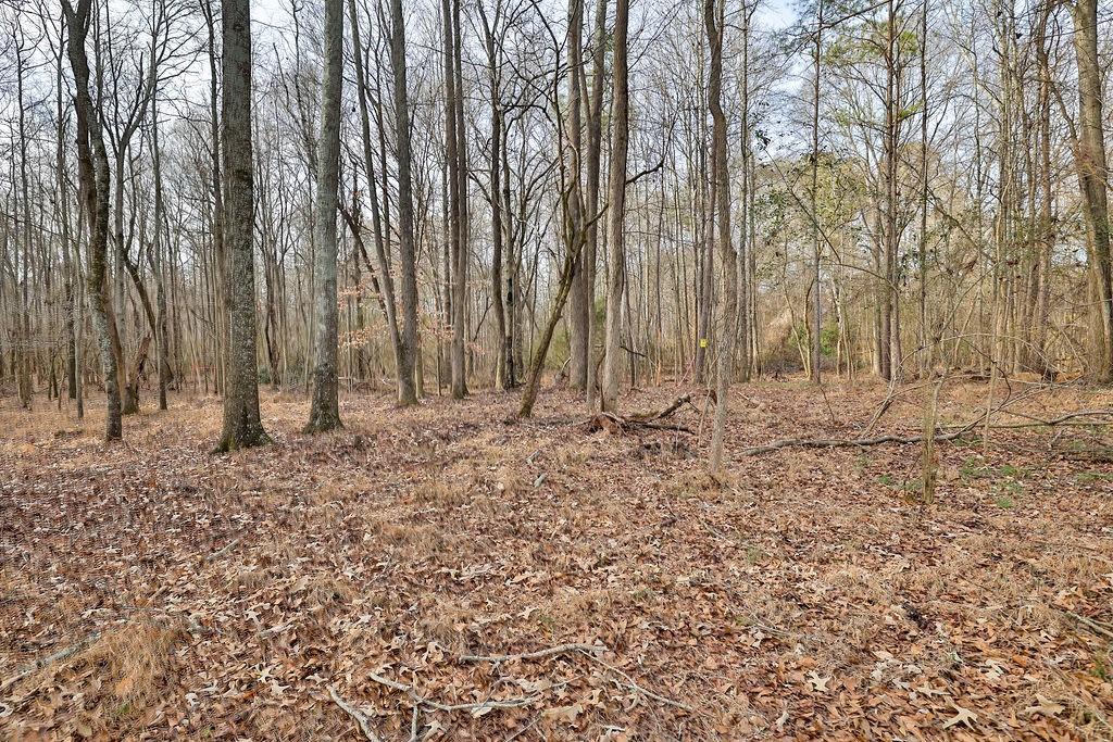 1922 Athens Highway Property Photo 3