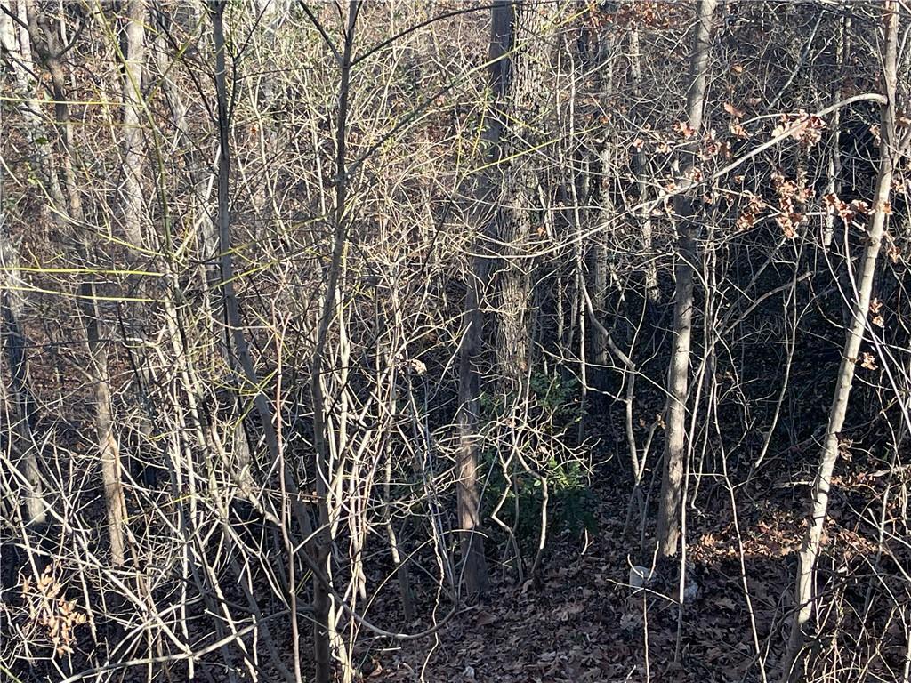 608 Green Valley Drive Property Photo 1