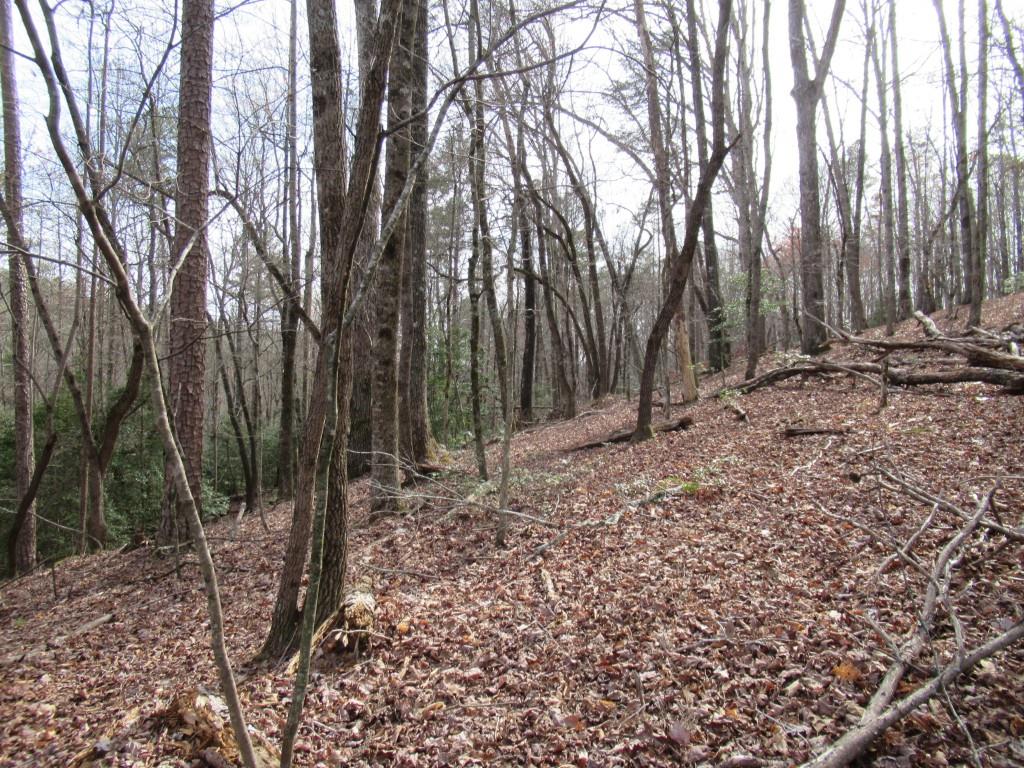 0 Long Branch Road Property Photo 1