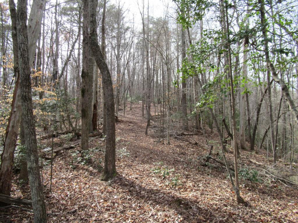 00 Long Branch Road