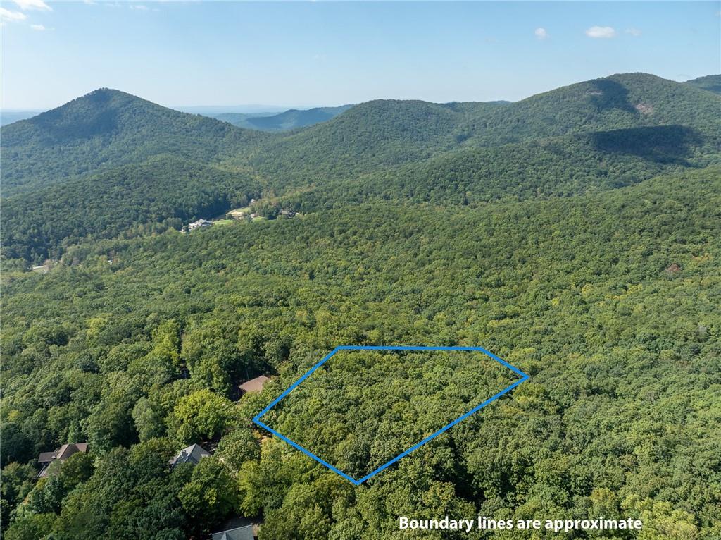 4406 Bee Tree Ridge Court Property Photo 1