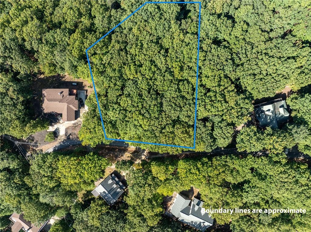 4406 Bee Tree Ridge Court Property Photo 2