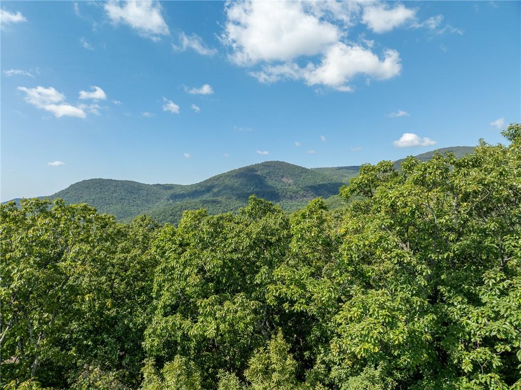 4406 Bee Tree Ridge Court Property Photo 3