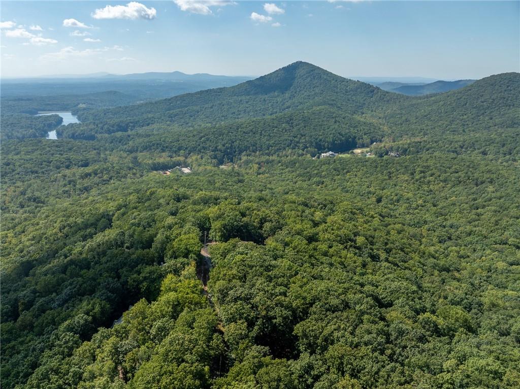 4406 Bee Tree Ridge Court Property Photo 5