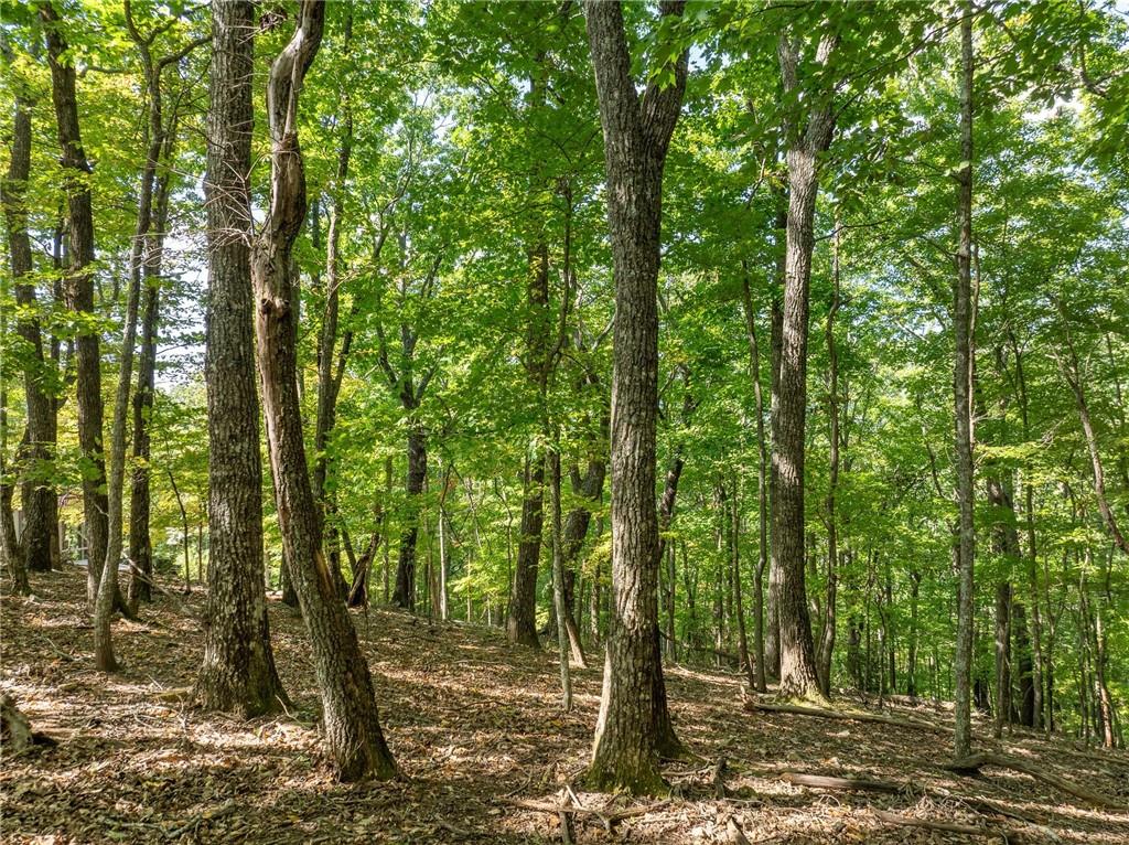 4406 Bee Tree Ridge Court Property Photo 8
