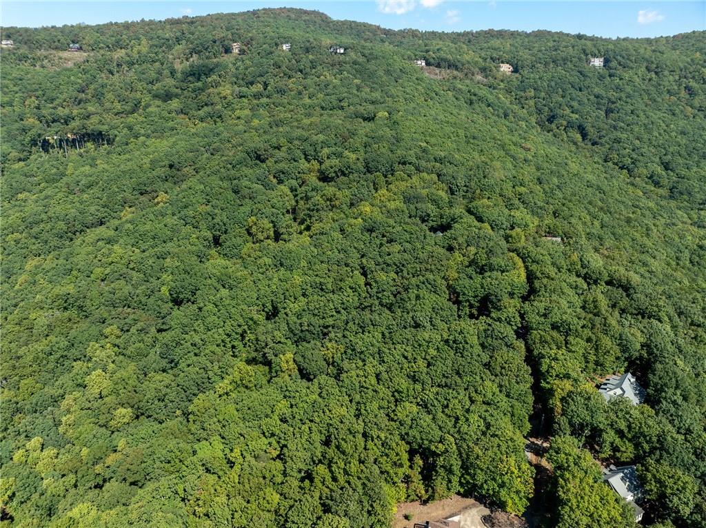 4406 Bee Tree Ridge Court Property Photo 9
