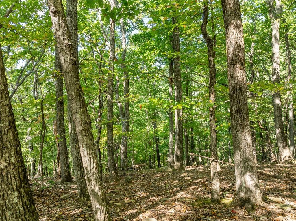 4406 Bee Tree Ridge Court Property Photo 10