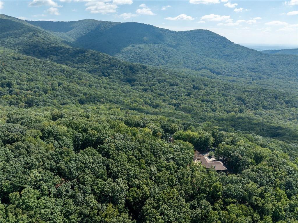 4406 Bee Tree Ridge Court Property Photo 11