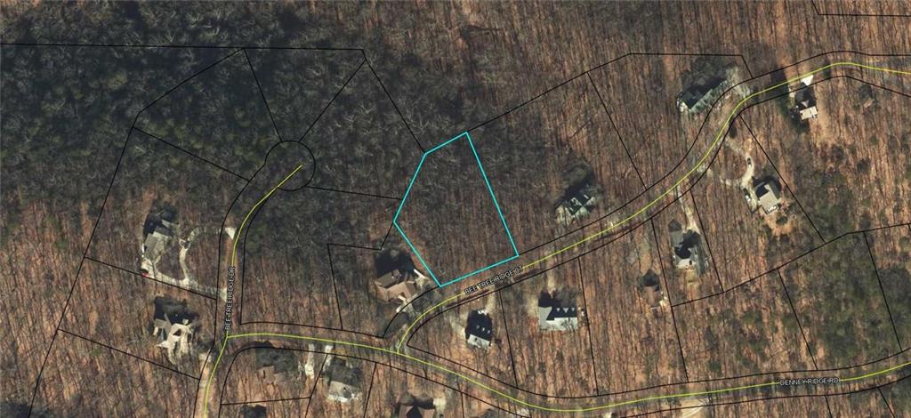 4406 Bee Tree Ridge Court Property Photo 13