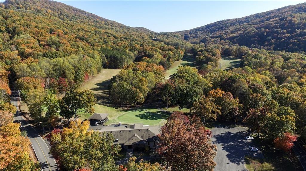 4406 Bee Tree Ridge Court Property Photo 20