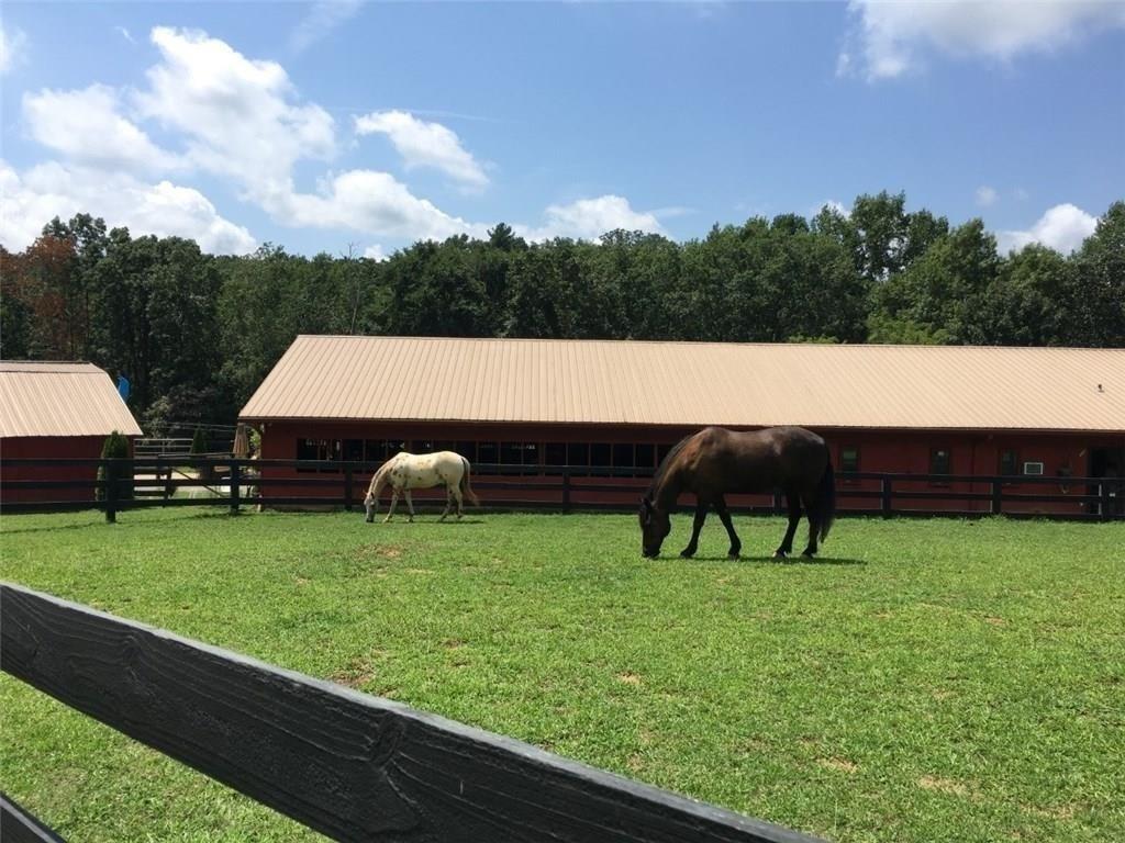 4406 Bee Tree Ridge Court Property Photo 31