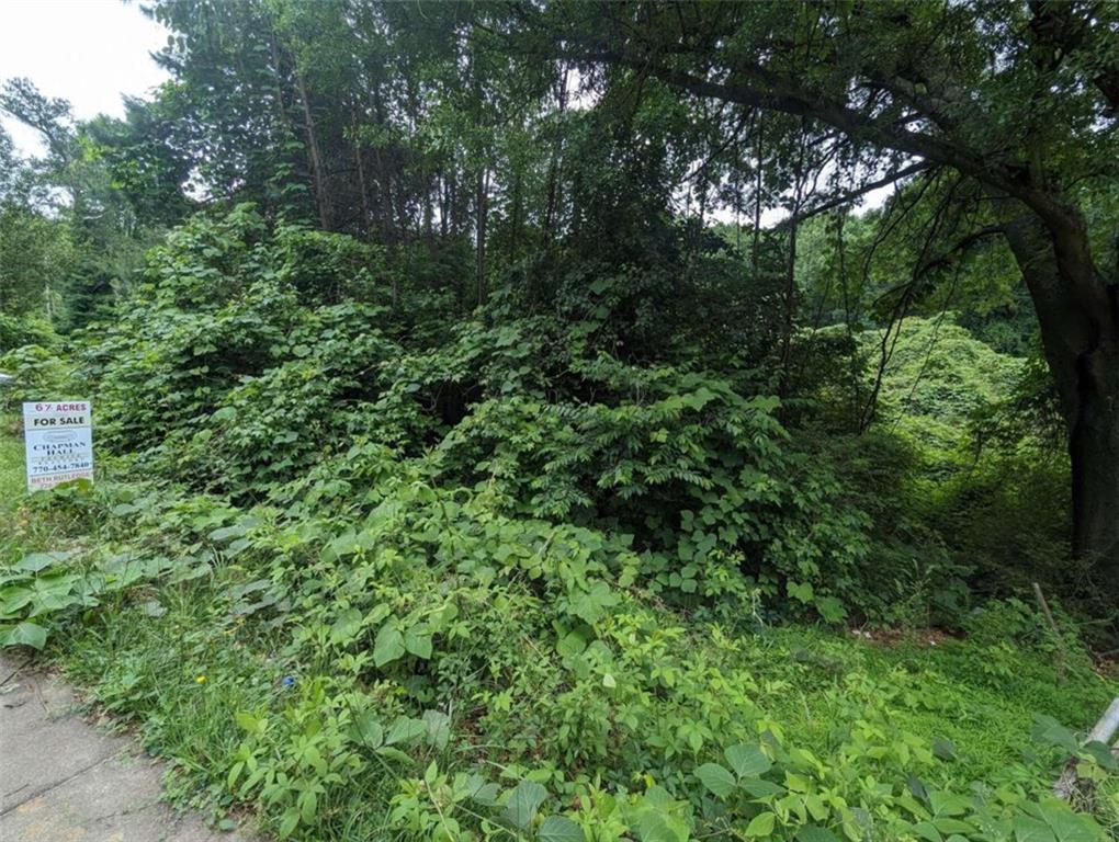 00 Dodson Property Photo 3
