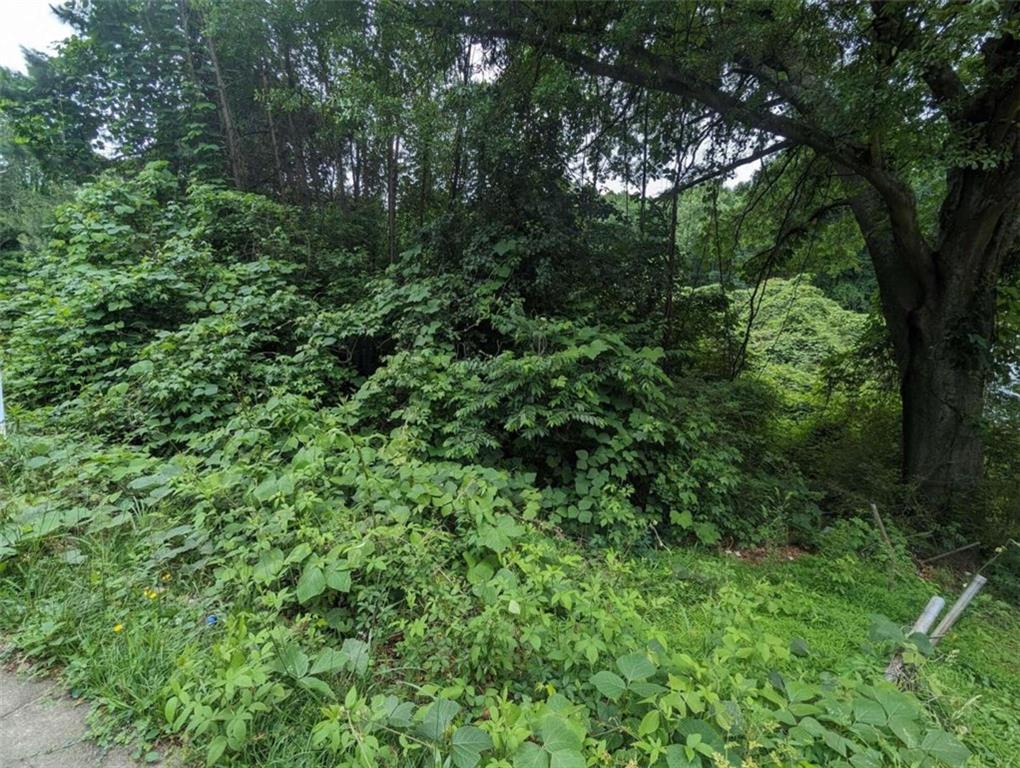 00 Dodson Property Photo 4