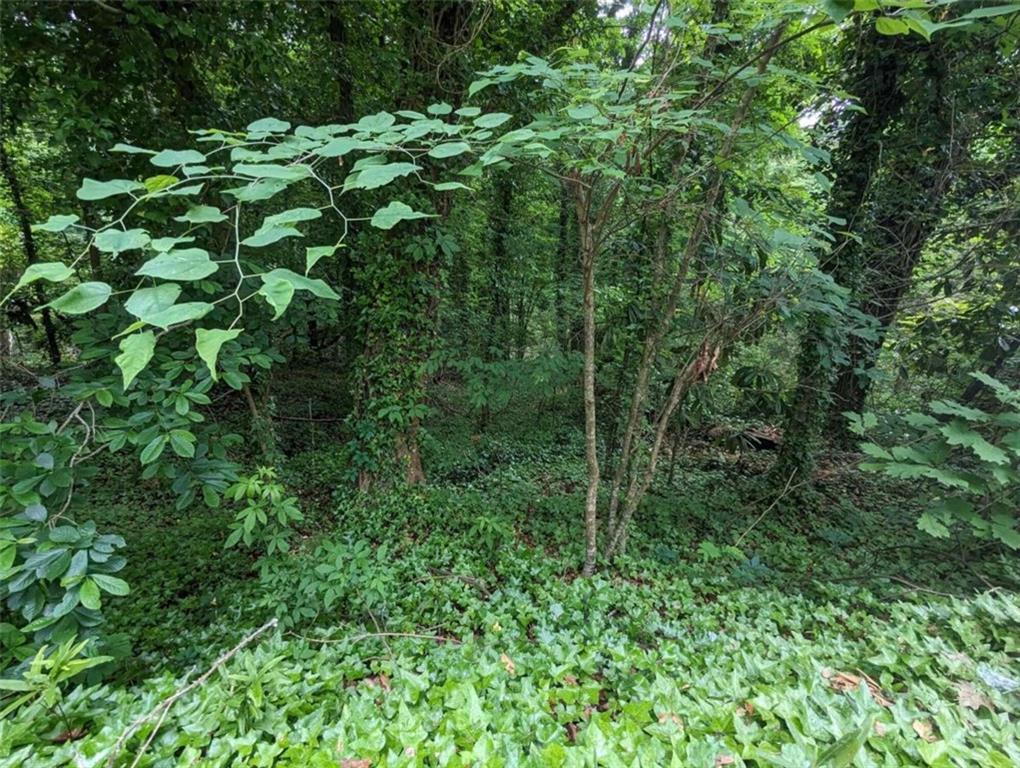 00 Dodson Property Photo 9