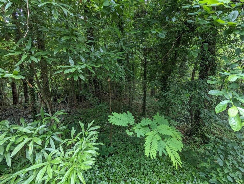 00 Dodson Property Photo 11