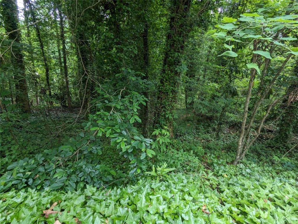 00 Dodson Property Photo 12