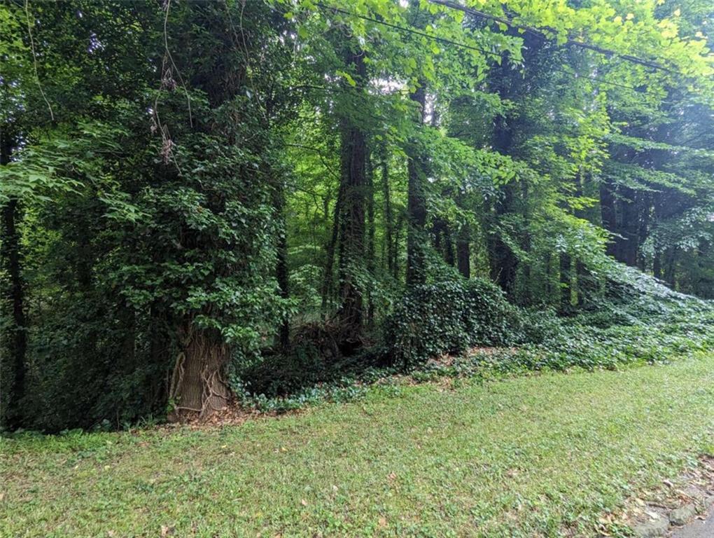 00 Dodson Property Photo 13