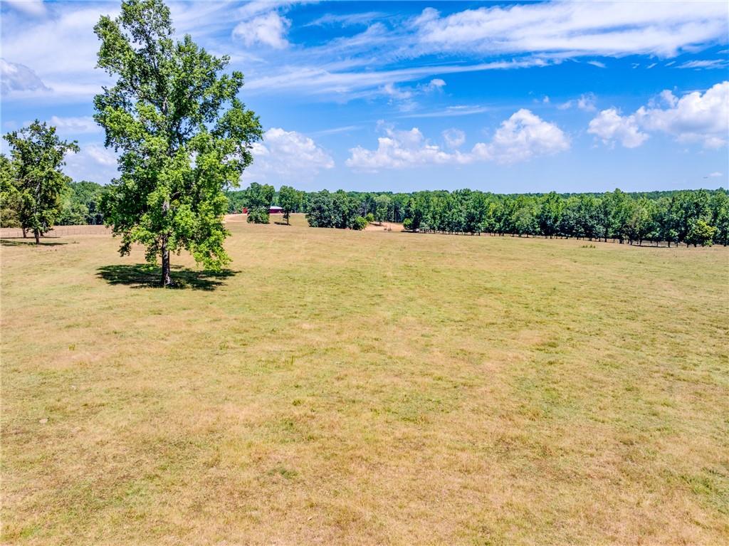 1650 Locklin Cemetery Road Property Photo 5