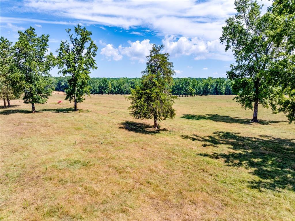1650 Locklin Cemetery Road Property Photo 7