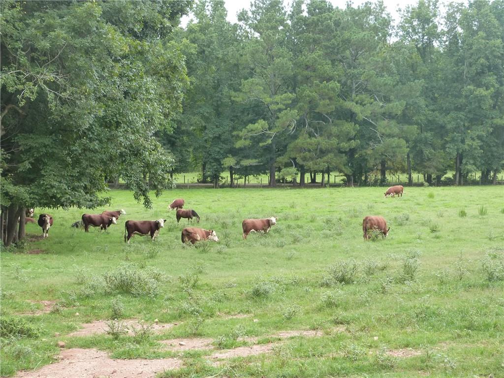 1650 Locklin Cemetery Road Property Photo 16