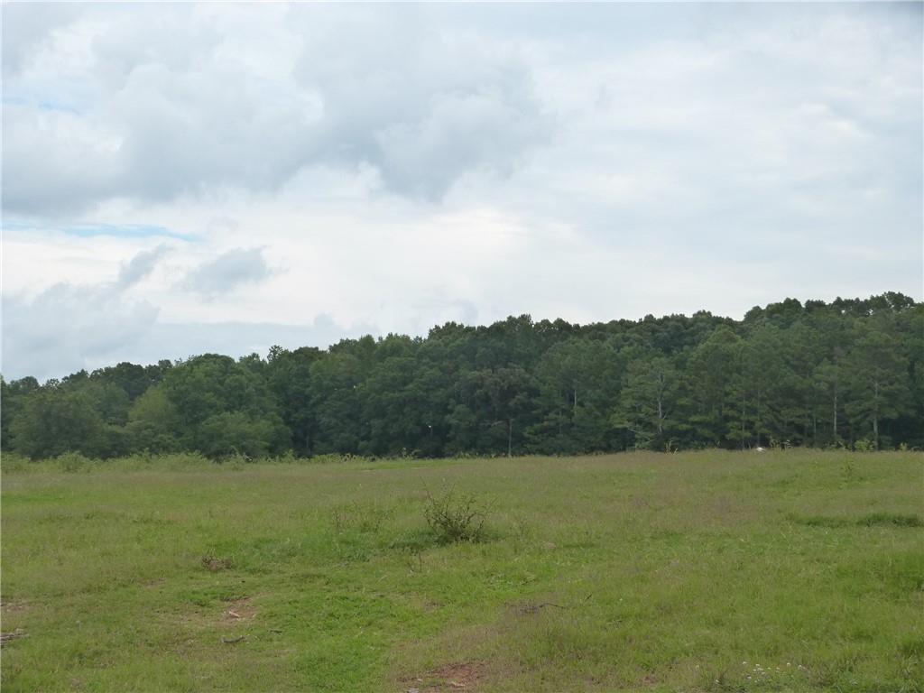 1650 Locklin Cemetery Road Property Photo 17