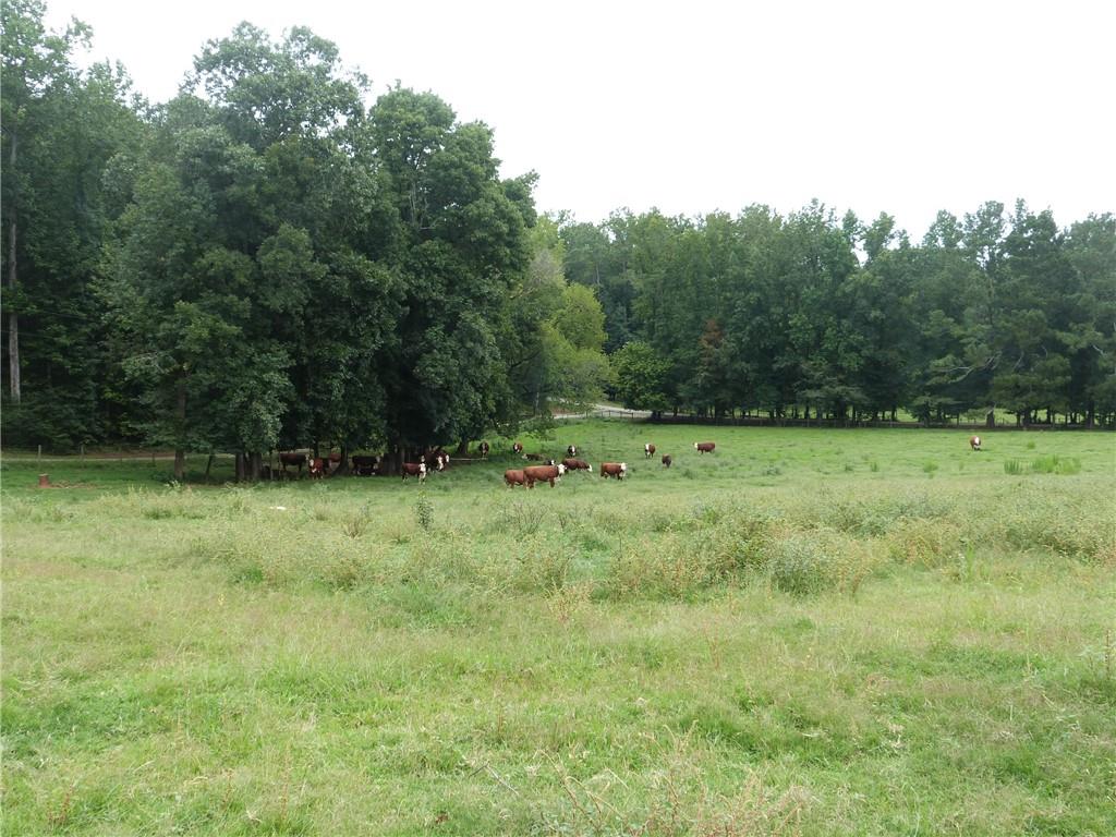 1650 Locklin Cemetery Road Property Photo 19