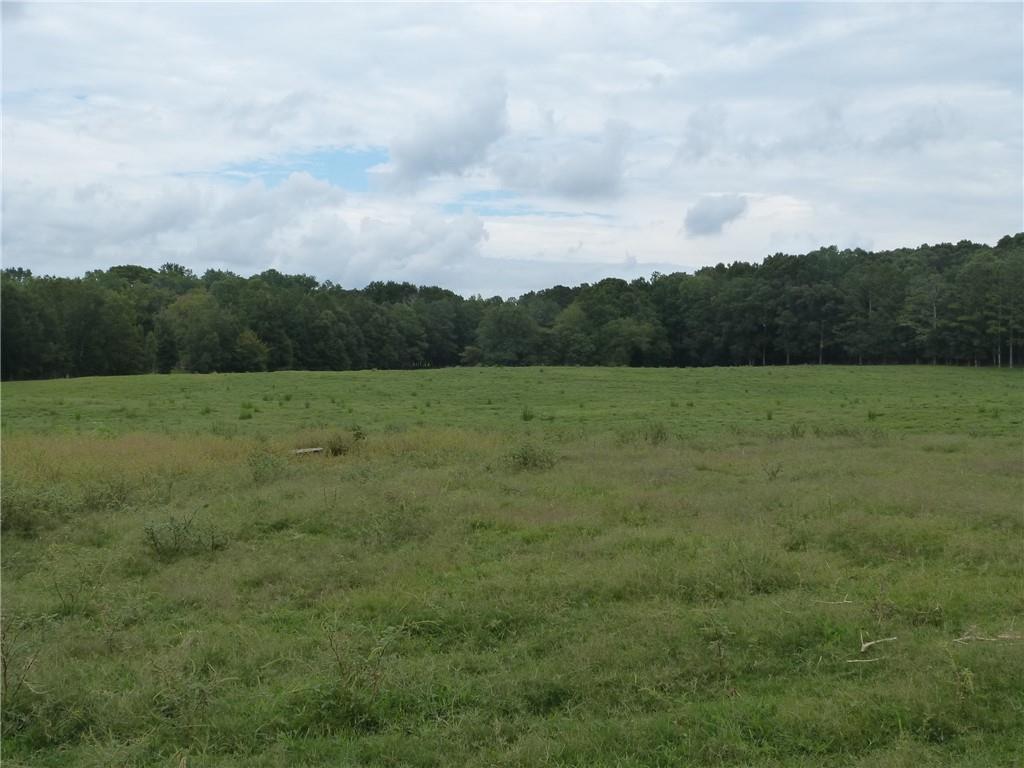 1650 Locklin Cemetery Road Property Photo 20