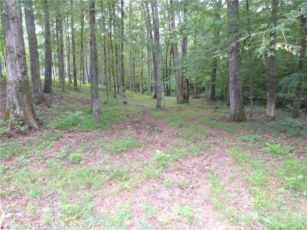 1650 Locklin Cemetery Road Property Photo 23