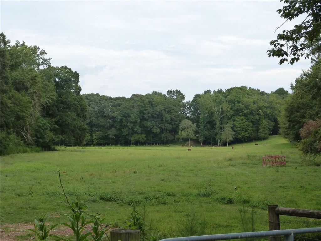 1650 Locklin Cemetery Road Property Photo 24