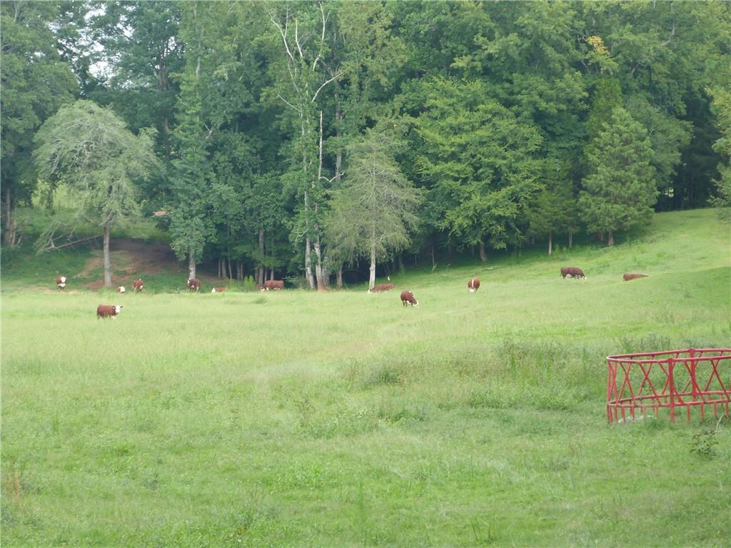 1650 Locklin Cemetery Road Property Photo 25