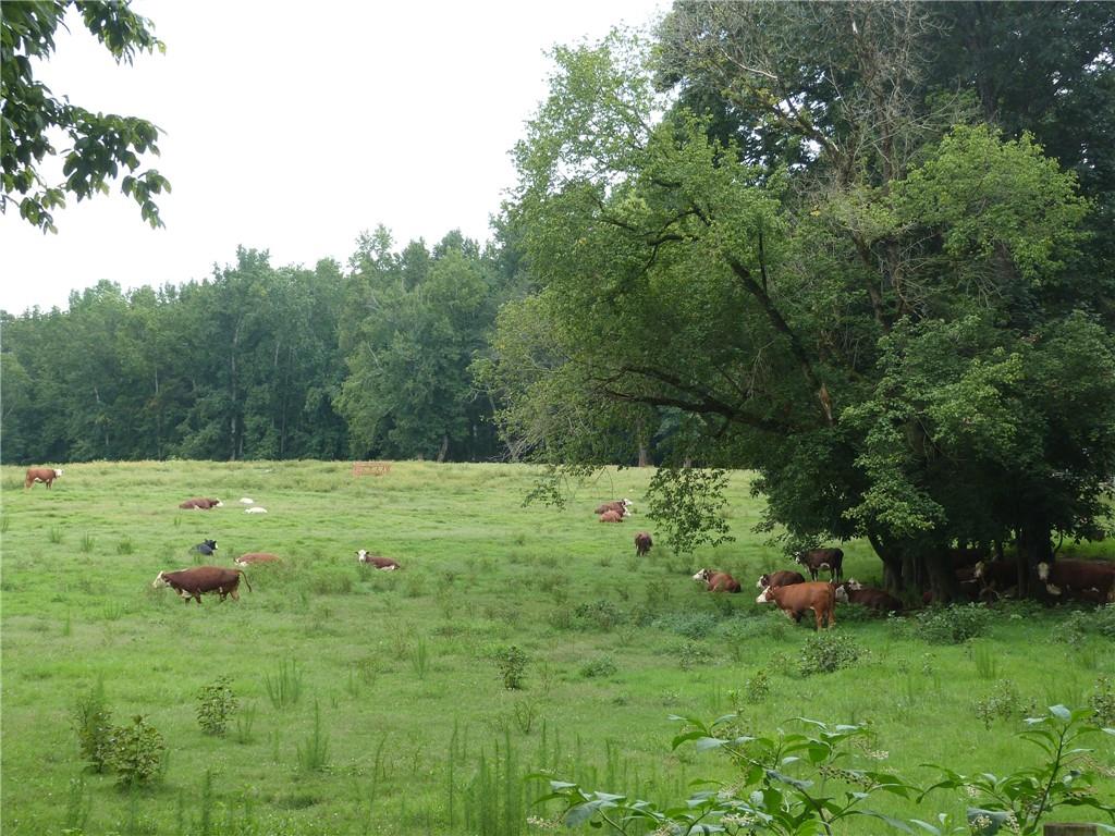 1650 Locklin Cemetery Road Property Photo 26